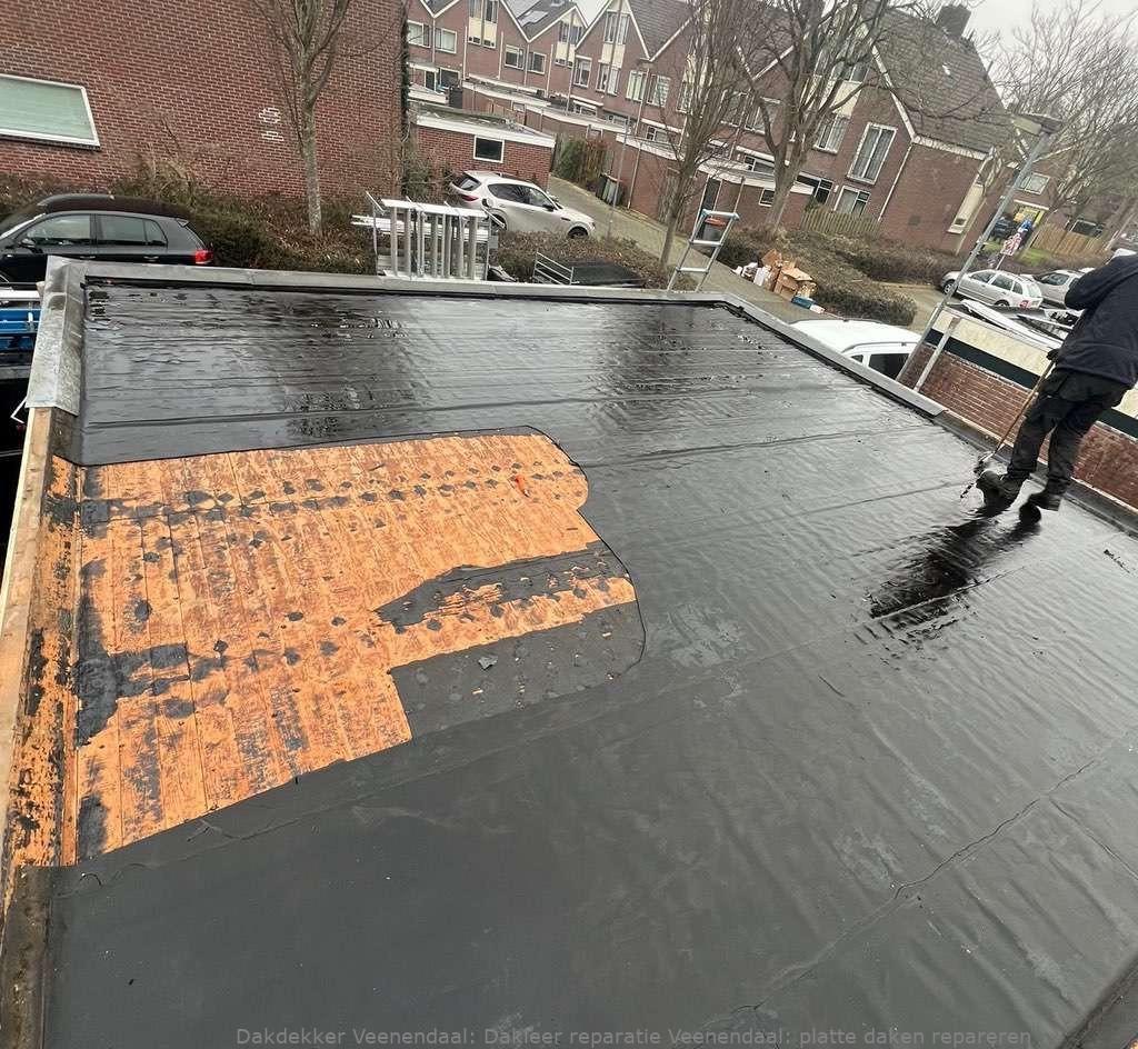 Dakleer Reparatie Veenendaal