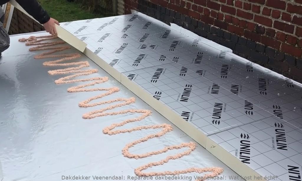 Reparatie Dakbedekking Veenendaal
