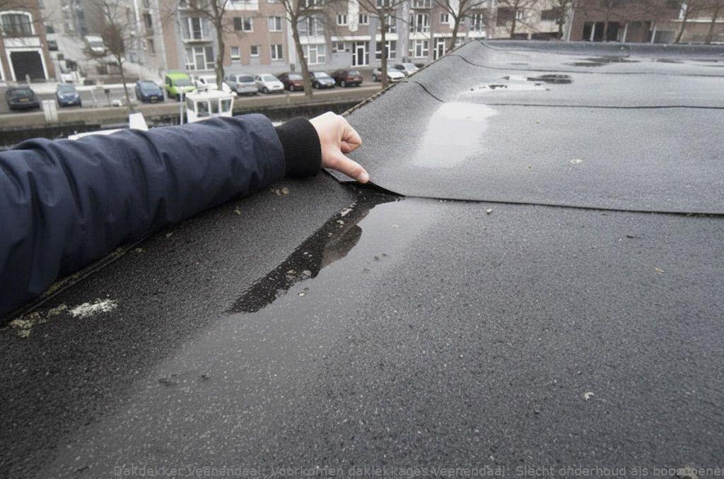 Voorkomen Daklekkages Veenendaal