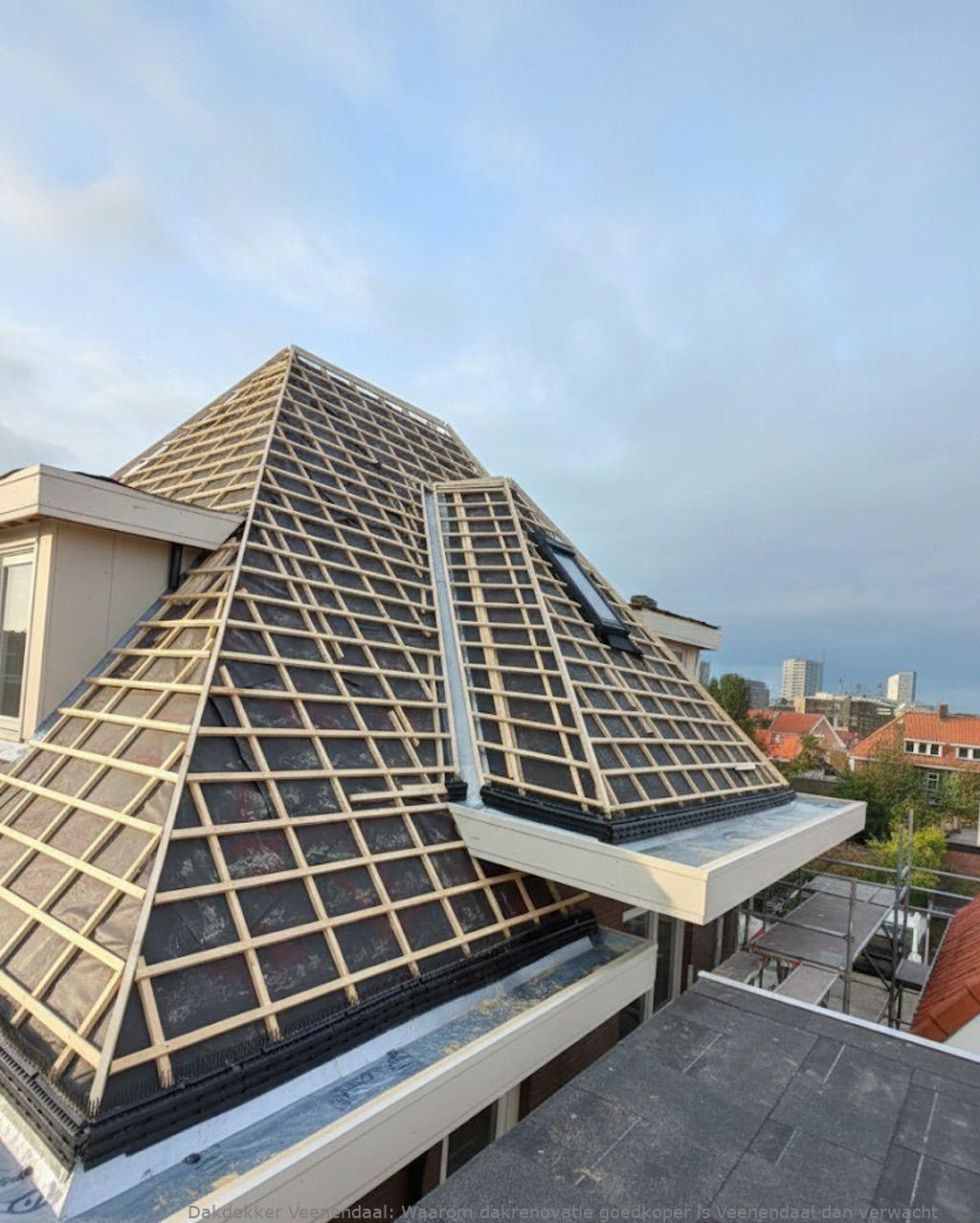 Waarom Dakrenovatie Goedkoper Is Veenendaal